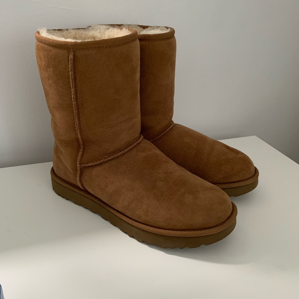 Chestnut Classic Short II Boot Uggs